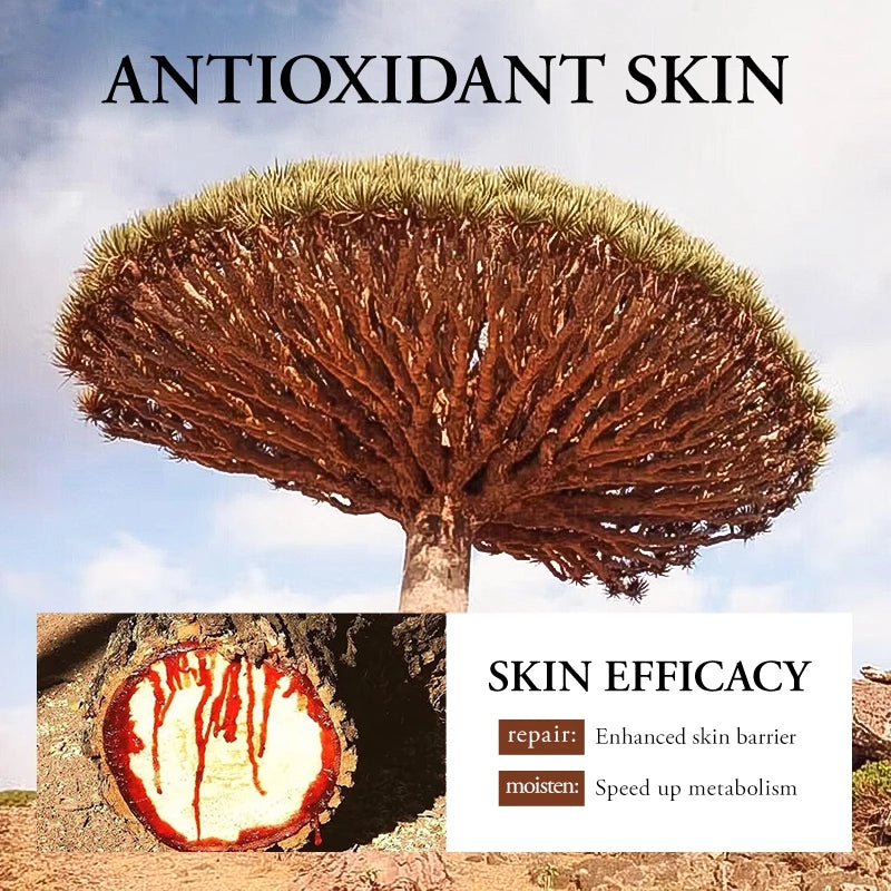 SADOER Retinol Dragon Blood Cream Whitening Moisturizing Anti Aging Cream Melasma Acne Freckles Remover 50g Beauty Express Hub