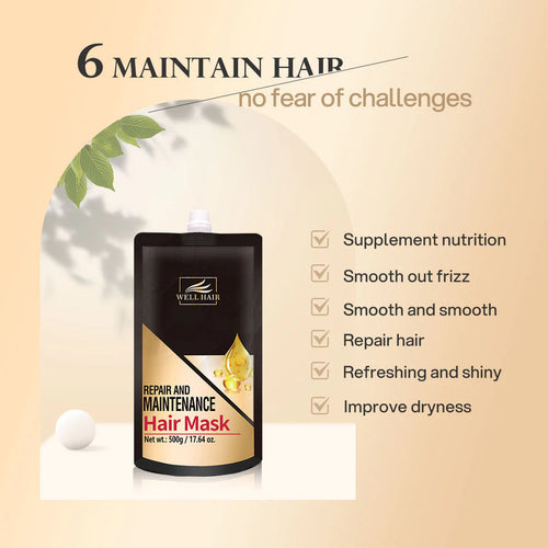 Bremod WELL Hair Mask Conditioner Repair Damaged Frizzy Hair Treatment Nourish&Smooth 500ml WH-H014 Beauty Express Hub