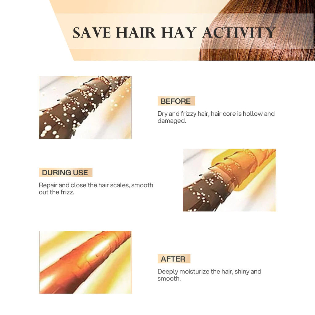 Bremod WELL Hair Mask Conditioner Repair Damaged Frizzy Hair Treatment Nourish&Smooth 500ml WH-H014 Beauty Express Hub